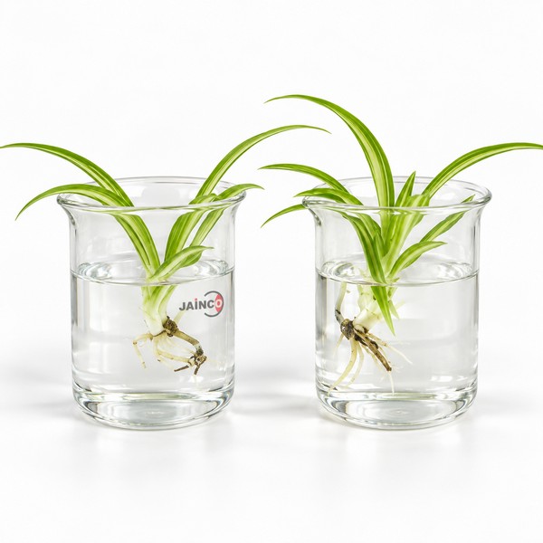 Kit for Demonstrating the Absorption of Mineral Salts in Plants
